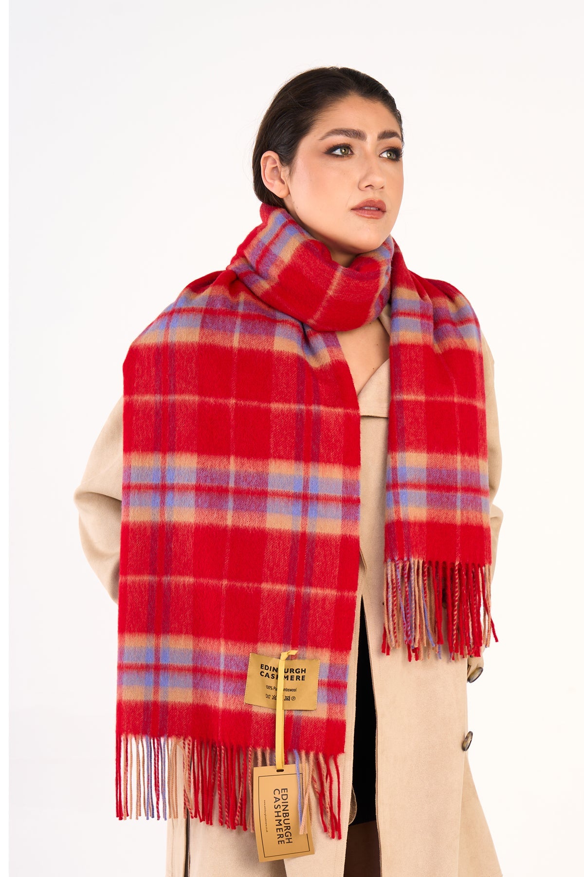 Scarf Luxury Exclusive Iconic Design EC Check Oversized